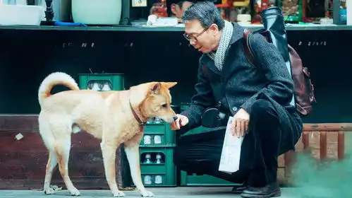 冯小刚演戏了新作忠犬八公定档3月31日,狗狗电影温暖治愈
