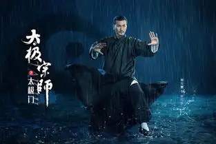 太极宗师之太极门剧照
