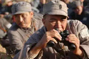 陈赫刘诗诗蒋欣他们一炮而红后为何再无经典
