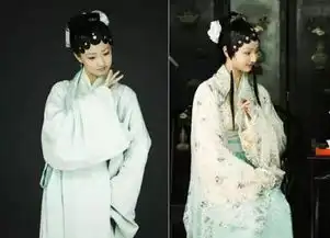 金星秀脱口秀金星脱口秀2015孙俪上金星秀搞笑模仿金星引爆
