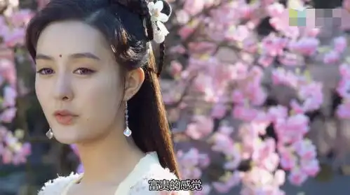 长相守花锦绣生下双胞胎不自知,垂帘听政引来杀身之祸