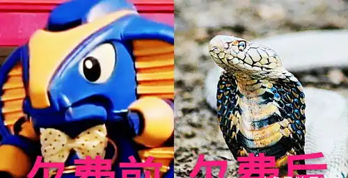 铁甲小宝欠费后,卡布达我能忍,鲨鱼辣椒我忍了,图4让人笑喷163手机网易网
