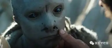 冰肤传说驯服与倾心,不是暴力征服