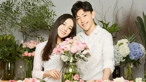 小说推荐丨霸道总裁高甜文