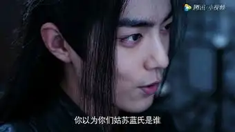 陈情令是烂剧吗
