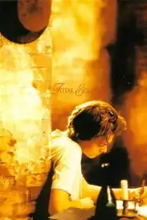 全蚀狂爱totaleclipse1995
