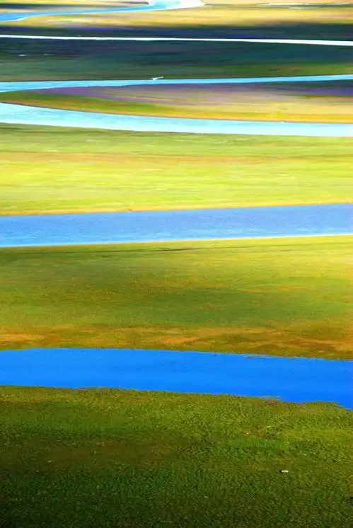 万万没想到,看了飞驰人生,我想辞职去新疆