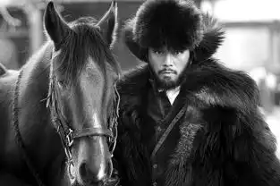 元旦档威虎山继续发威姜文做客小崔节目回应质疑