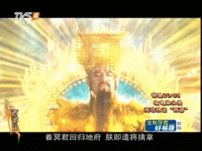 爆笑西游大学段子,新西游记剧照特奉

