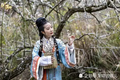 正月梅花香之2021年梁化梅园赏花游记
