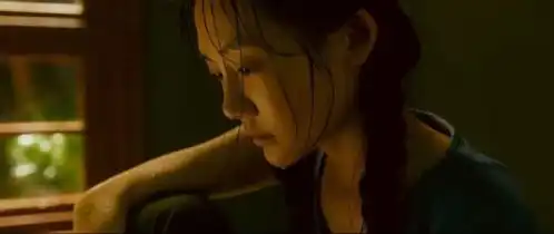 冯小刚与严歌苓的芳华