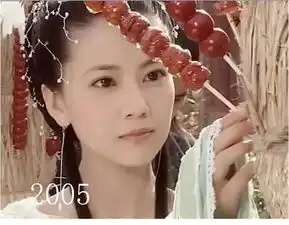 娱乐圈将诞生最美辣妈,盘一盘高圆圆出道以来的容貌变化
