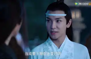 思追名字蕴含深意,蓝湛为何向魏无羡隐瞒思追身份,其实另有目的