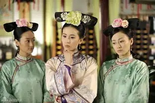 组图步步惊心精选剧照
