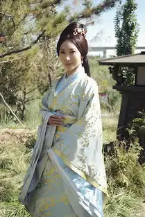 芈月传卫良人登场温婉一笑尽显高贵
