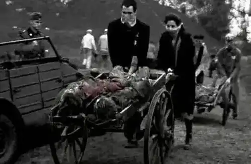 奥斯维辛集中营中为什么有一位姑娘微笑