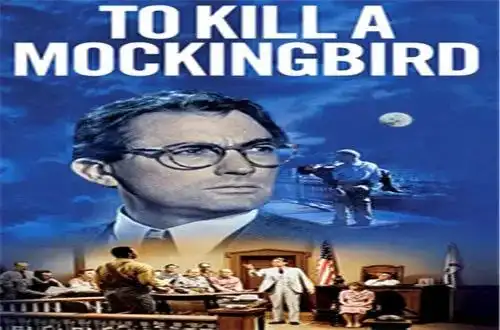 做一个温柔如水,坚若磐石的人杀死一只知更鸟
