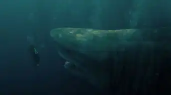 巨齿鲨曝全新海报剧照,海底侏罗纪初露端倪