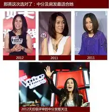 中国好声音那英百变造型早年雷人照曝光