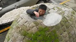 戴海飞蛋壳下的蜗居生活