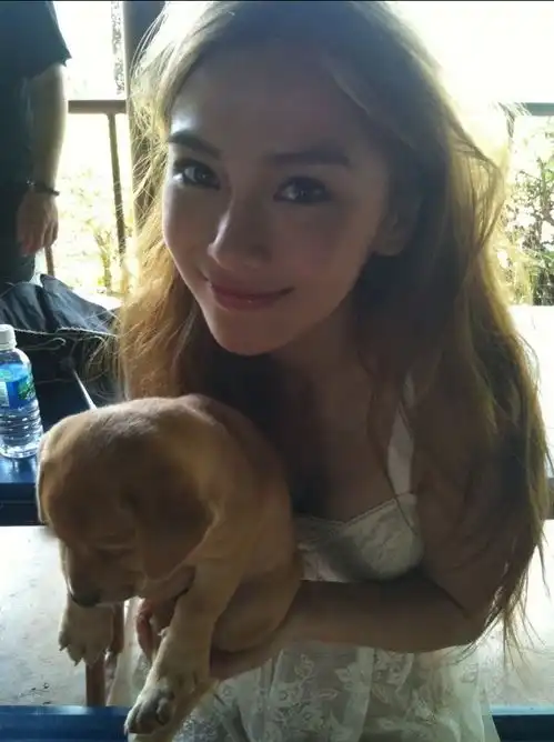 邓伦杨颖版放羊的星星或许可以期待一下导演为偶像剧教父