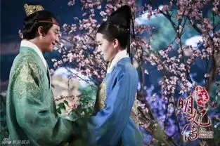 女医明妃传2月13日开播刘诗诗霍建华等主演最新剧照曝光图

