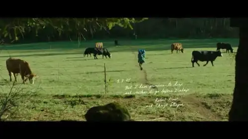 在这本书里,我们看到了一部300余年的女性行走史
