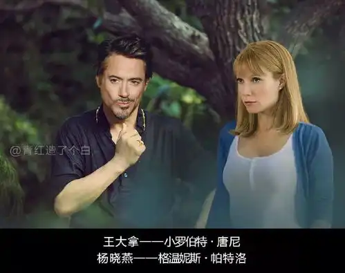 乡村爱情国际版海报,太洋气了
