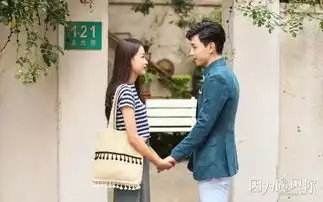 因为遇见你完美收官,预定17年上半年剧王
