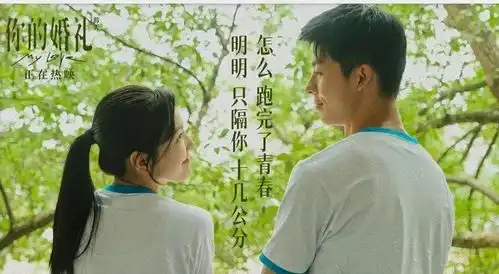 你的婚礼许光汉也拯救不了的爱情
