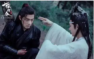 陈情令中心疼被逼死的魏无羡,可是更心疼活着的蓝二公子
