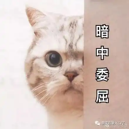 这个节目就是来搞笑的吧
