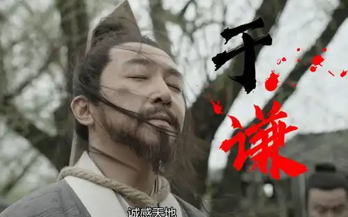 含冤亲王恢复帝号,高龄剩女风光出嫁记成化年间的大明郕王家族
