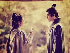 胡歌琅琊榜剧照画册