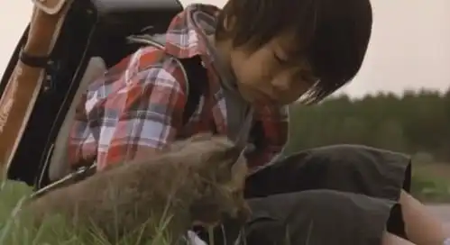 流浪猫鲍勃的网红橘猫去世了,和它一样拯救人生的萌宠们真好哭又治愈啊