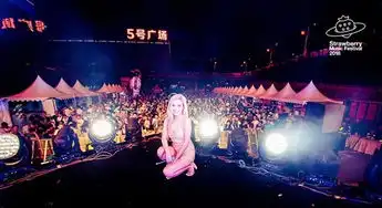 美兰迪登草莓音乐节电音舞曲唱跳实力俱佳嗨翻现场
