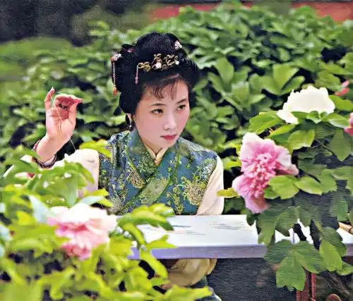 红楼梦之鸳鸯剧照贾母的首席大丫环,出身低却有主见和追求