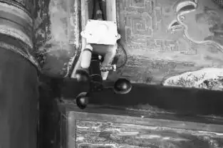 颐和园今年启动大修古董园墙如何修缮