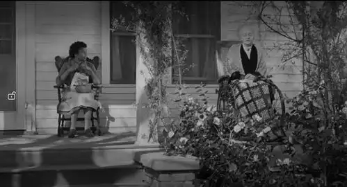 杀死一只知更鸟就是一桩罪恶
