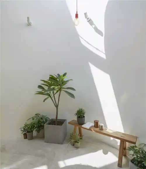 青山周平的自然的状态