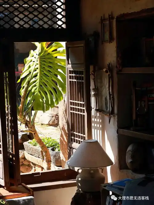 去有风的地方,打卡有风小院,找找神仙姐姐附攻略
