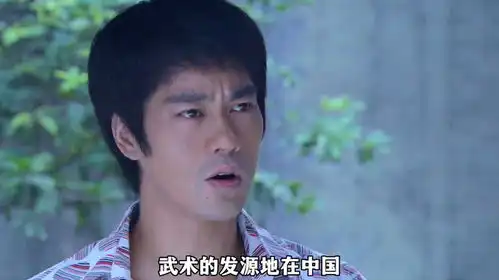 李小龙外传咏春惹怒叶师傅,乔治邀请小龙拍摄青蜂侠
