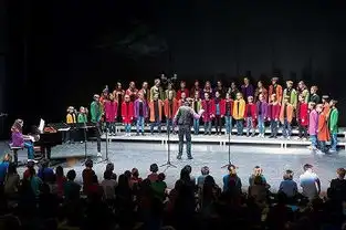 奥地利萨尔茨堡童声合唱团音乐之声
