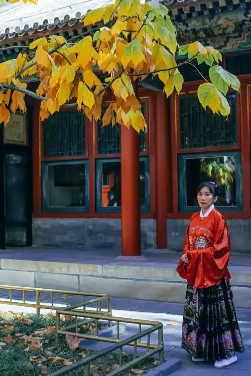 2小时着古装匆匆颐和园之行,感受北京之秋,遇见最美银杏
