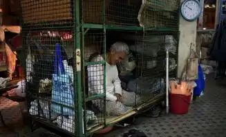 蜗居也疯狂港笼屋租金竟贵过海景豪宅
