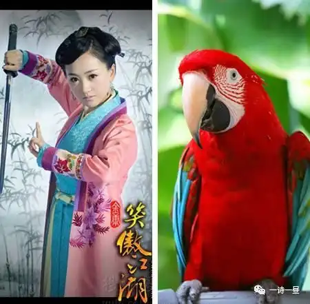 从烈火如歌的灾难造型说起,和10年前比国内造型师怕是集体审美掉线
