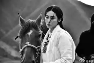 朱茵晒牵马照,紫霞仙子又回来了
