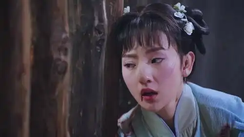 双s宠妃2镜心被打的遍体鳞伤,十四爷细心照顾
