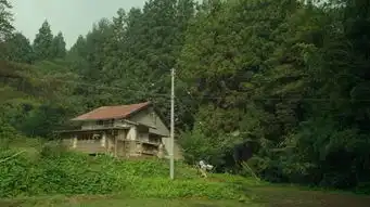 6月24日,宜满血复活
