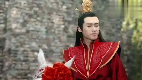 微微一笑很倾城大家误会微微要抢亲,幸好微微反应够快